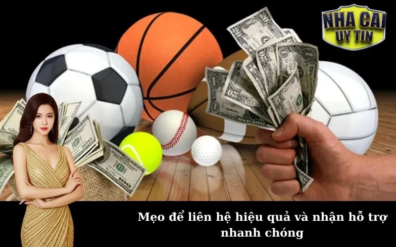 Mẹo để liên hệ hiệu quả và nhận hỗ trợ nhanh chóng